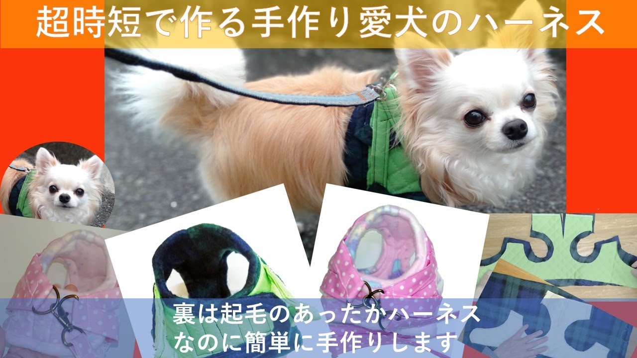 超時短で作る手作り愛犬のハーネス ❤ハンドメイドで愛犬のための温か