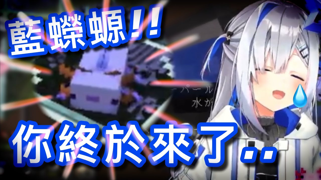 繁殖了3200隻之後，終於生出藍蠑螈，開心到瘋掉、退化成猩猩的PP天使