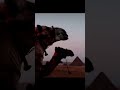 بحب بلدي