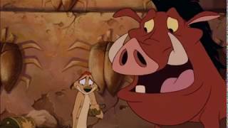 Timon And Pumbaa Guatemala Malarkey Part 3