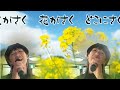 春が来た🌼童謡🌼のりちゃん🌼53歳のオバチャン