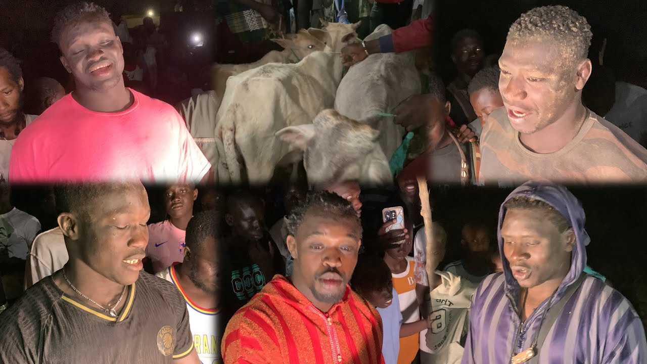 Départage des Bœufs Lamb Ndiandiaye Alias Diene Ouz Diarekh Mbaye Ordi Mbourok Ndambe Thiate Fissel 