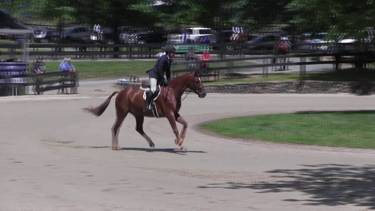 Video of CASPERIO ridden by ROBERT CRANDALL from YouTube