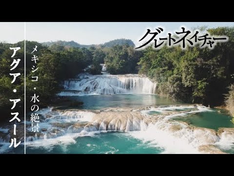 [グレートネイチャー] 清冽（れつ）！メキシコ多雨地帯、心を癒す水の絶景！ | アグア・アスール（青き水） | NHK