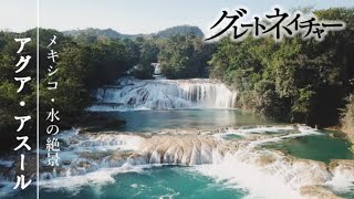 [グレートネイチャー] 清冽（れつ）！メキシコ多雨地帯、心を癒す水の絶景！ | アグア・アスール（青き水） | NHK