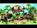 Safari Diorama for Wild Animal Figurines   Learn Animal Names