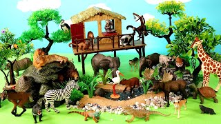Safari Diorama for Wild Animal Figurines   Learn Animal Names