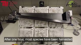 Sorting species after DNA barcoding