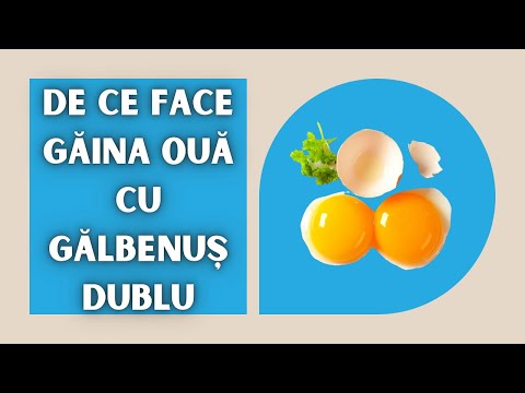 Video: Cât de rar este un ou cu gălbenuș dublu?