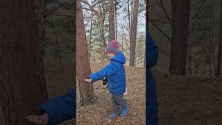 Птицы, белочки и осень #природа #гуляем #short