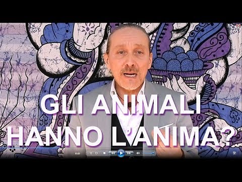 Gli animali hanno l&#039;anima?