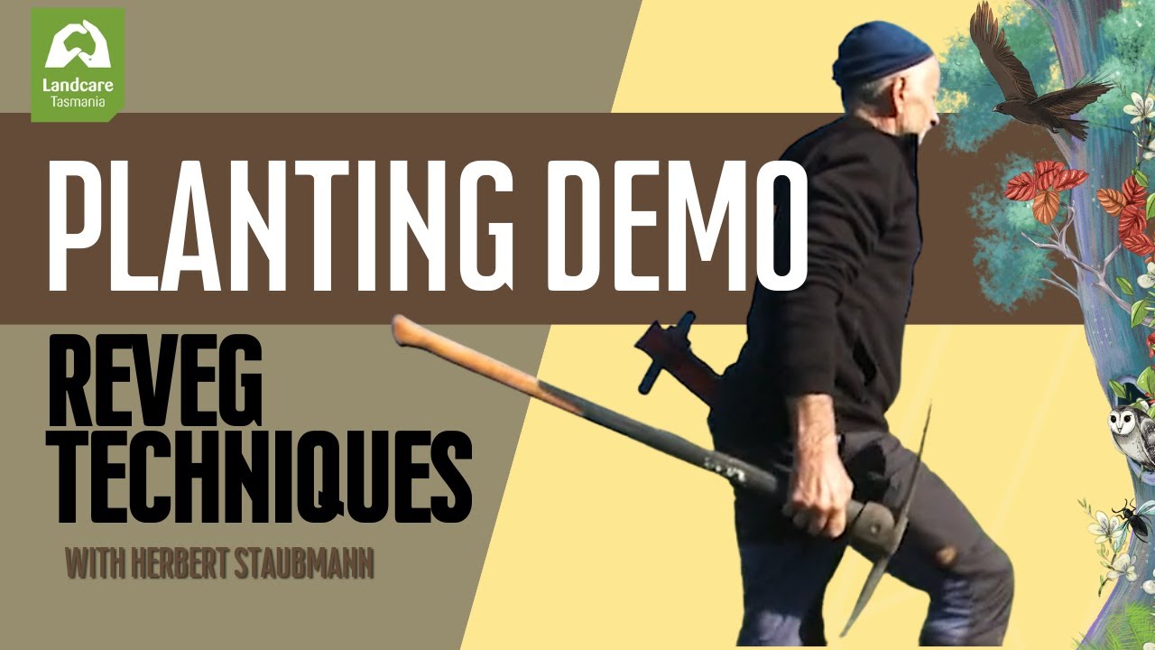 PLANTING DEMO PT 1 - Revegetation Techniques with Herbert Staubmann