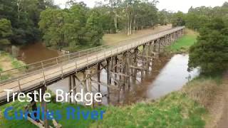 Fly over Curdies River Trestle Bridge, Camperdown - Timboon Rail Trail