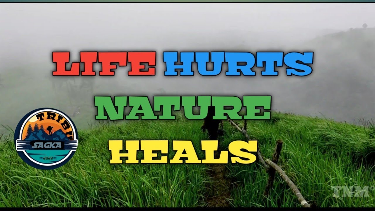 Life Hurts Nature Heals Quotes In English
