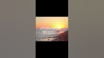 سورة القيامة                                  #قرآن