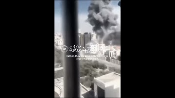 القرآن الكريم ماهر المعيقلي ولا تحسبن الذين قتلوا امواتا حالات واتس اب فلسطين غزة