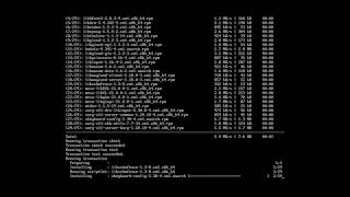 Taking a look at CBL-Mariner: Part 2 - Exploring the System and Installing Packages