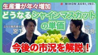 【シャインマスカットを解説】生産量が年々増加どうなるシャインマスカットの単価！今後の市況を解説！