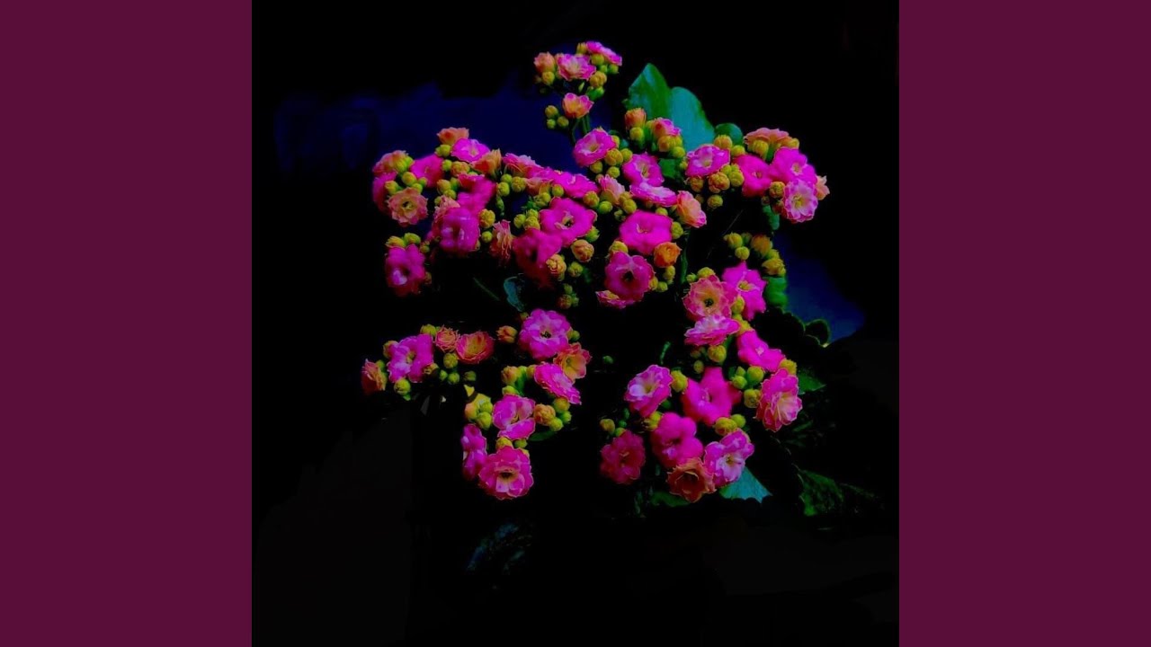 Watch Selfish love on YouTube Watch Selfish love on YouTube
