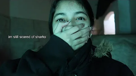 i conquered my fear of sharks