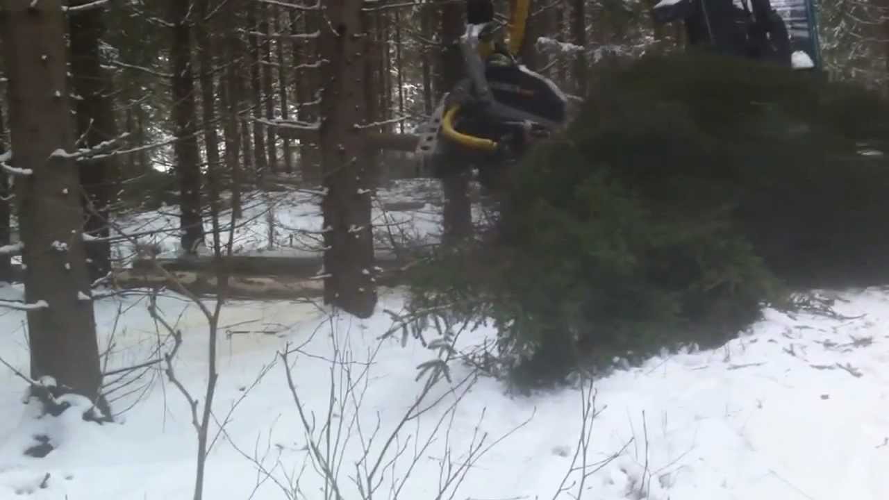 KESLA 25RH-II  harvester head on ProfiPro at thinning