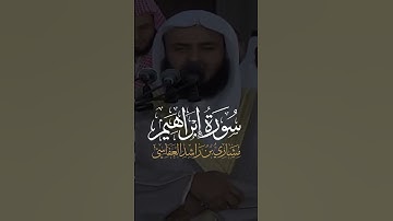 سورة إبراهيم للشيخ مشاري راشد العفاسي #سورة_إبراهيم #مشارى_راشد_العفاسى