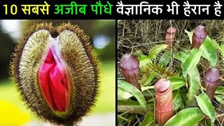 कुदरत का करिश्मा,वैज्ञानिक भी हैरान हैं ऐसे अजीब पेड़ पौधे देखकर ll Top 10 WEIRD PLANTS IN THE WORLD