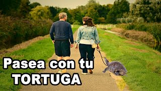 Como hacer una correa y collar para tortugas