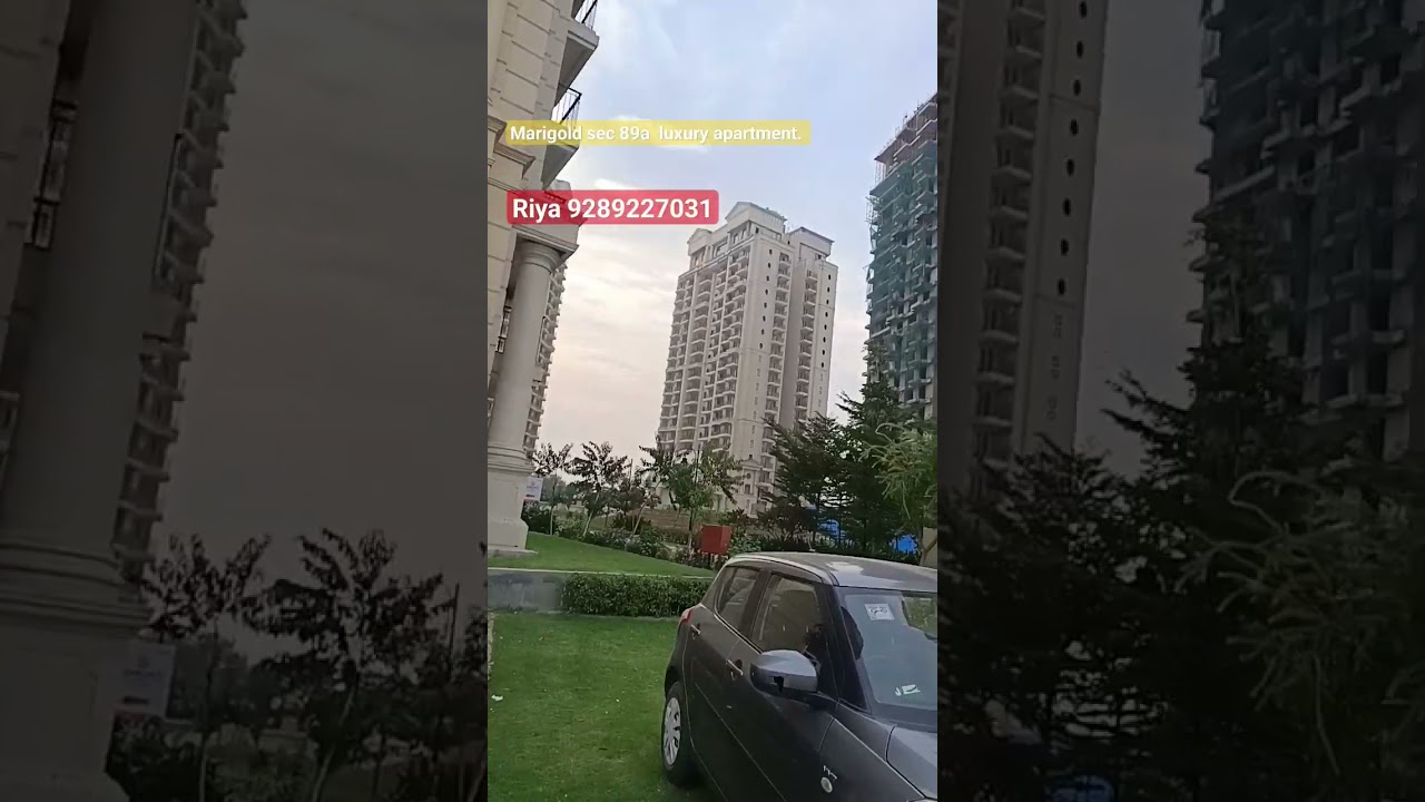 marigold sec 89a. luxury apartment. 