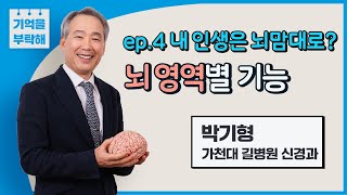 뇌는 어떤 일을 하나요? 뇌의 영역별 기능 / 전두엽 측두엽 두정엽 후두엽 소뇌