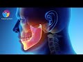 Jaw Inflammation Relief | Reduce Pain and Immobility &amp; Regenerate Joint Tissue