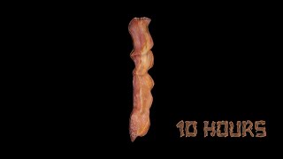 Bacon 10 Hours