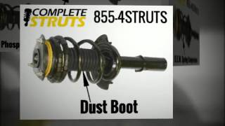 Complete Strut Assemblies