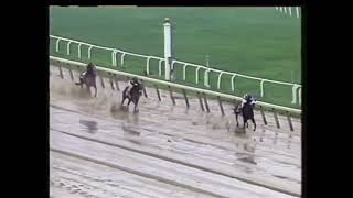 A Tribute To Bertrando