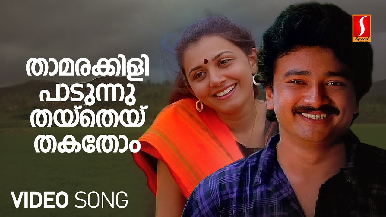 Thamarakkili Paadunnu Video Song  Moonnam Pakkam  Jayaram  Ilayaraja  KS Chithra  MG Sreekumar