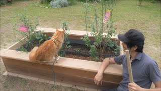 Making a raised bed (DIY)