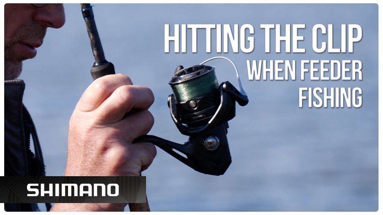 Feeder fishing on the line clip: Tips & Tricks to master the