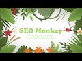 Agence seo monkey  rfrencement naturel transparent  efficace 