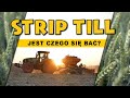 STRIP TILL - JEST SIĘ CZEGO BAĆ?