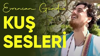 Evrencan Gündüz - KUŞ SESLERİ Resimi