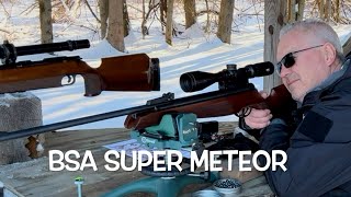 BSA super Meteor at the range pellet testing and plinking @gumbystown 