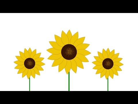 Create a Vector Flower - Photoshop Tutorial