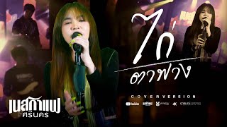 ไก่ตาฟาง : ธันวา ราศีธนู 【 COVER VERSION】เนสกาแฟ ศรีนคร