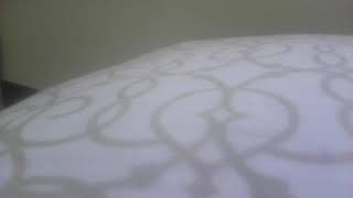 Five nights at Jurassic Park Velociraptor Jumpscare