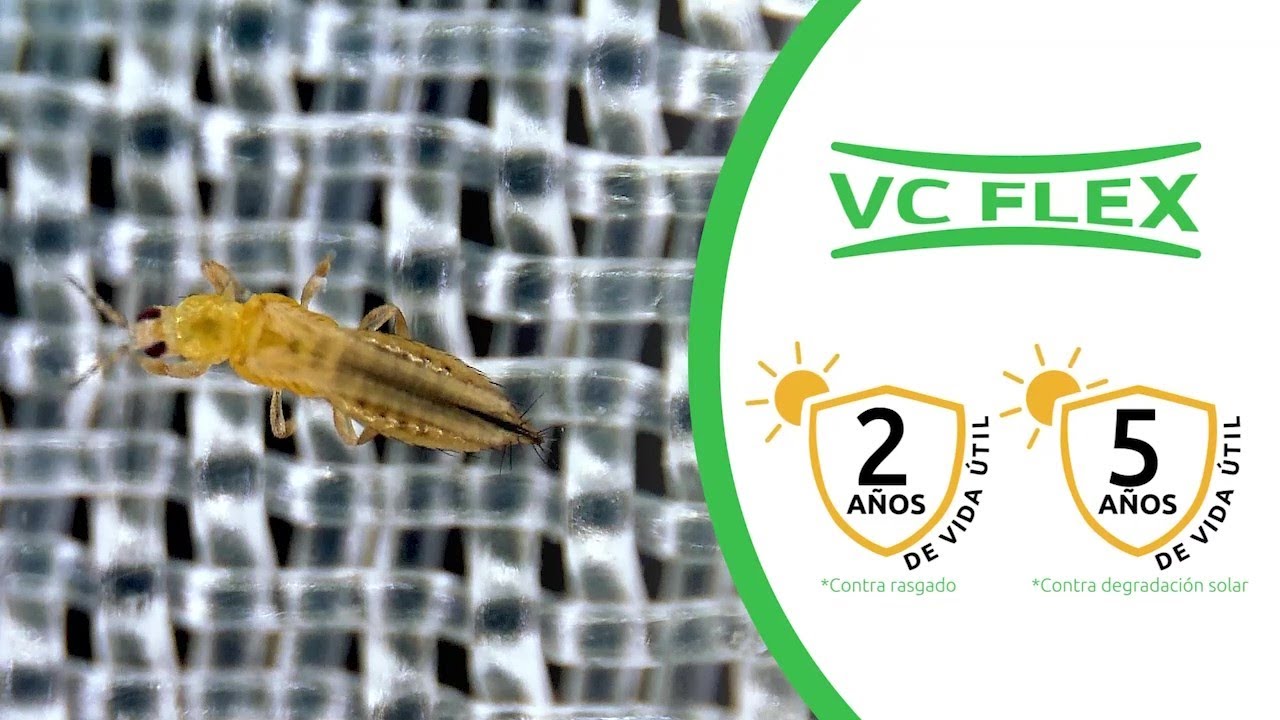 VC FLEX | GARANTÍA