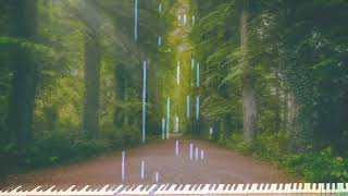 Studio Ghibli Songs  Relaxing Piano Collection