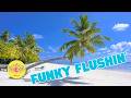 🌴 Tatsuro Yamashita - FUNKY FLUSHIN' 🌊