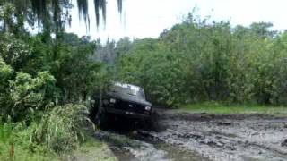 publix 64 muddin