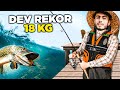 18 KG DEV BALIK TUTTUM !! ( REKOR KIRDIK )