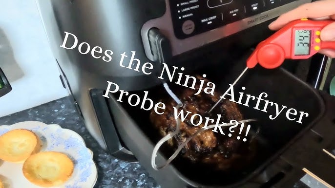 how to use the meat thermometer in a ninja air fryer｜TikTok Search